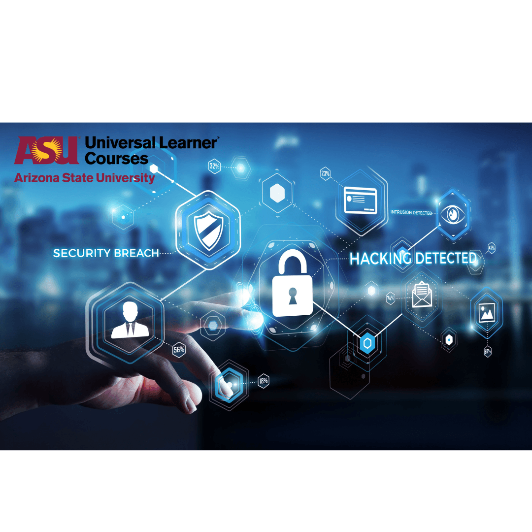 Online IT Security in Organizations